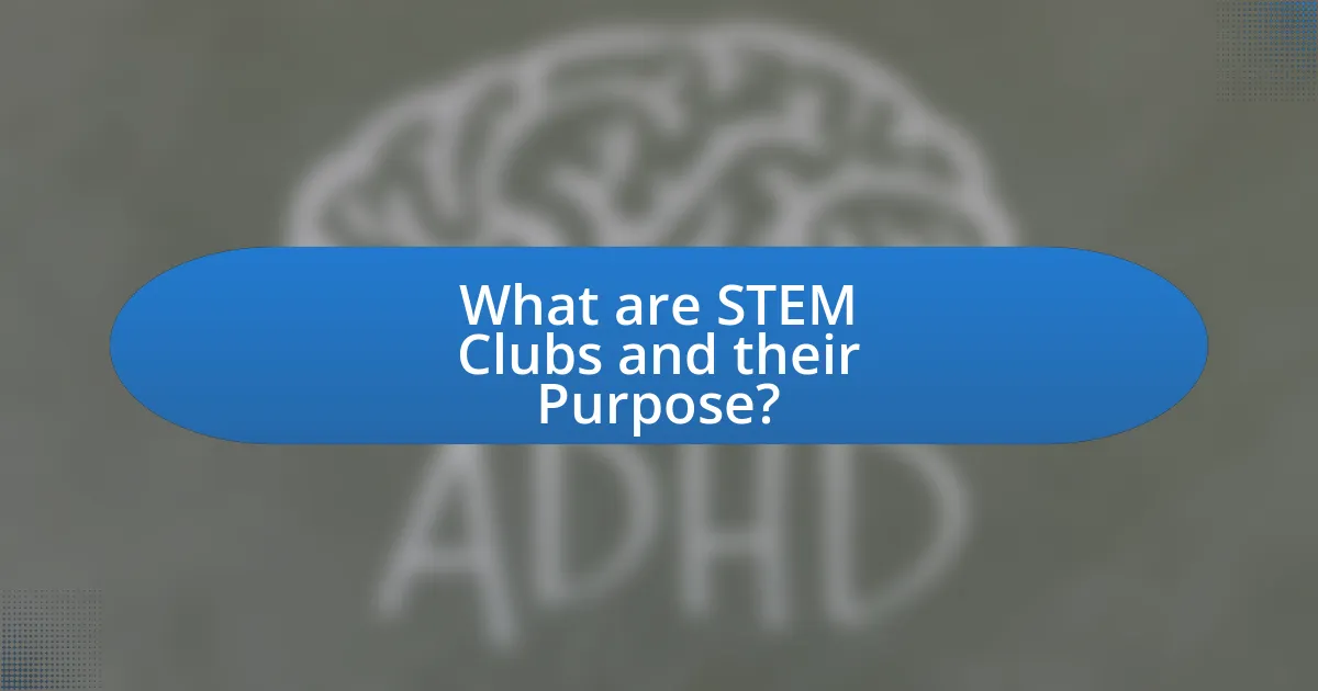 What are STEM Clubs and their Purpose?