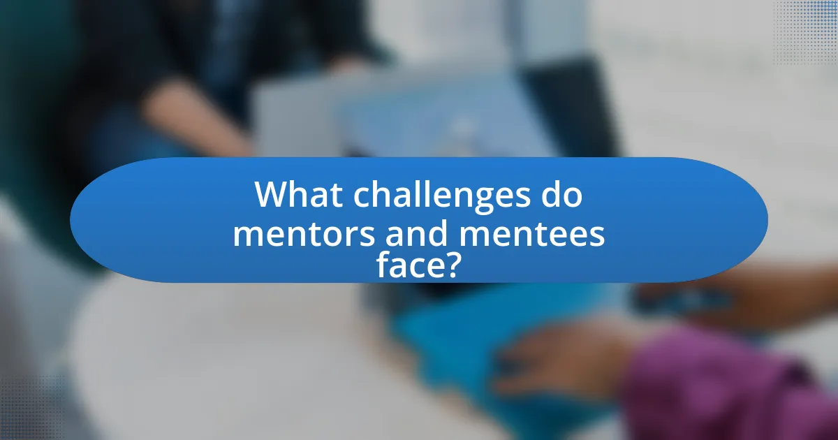 What challenges do mentors and mentees face?