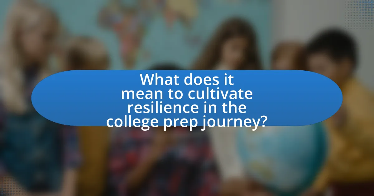 What does it mean to cultivate resilience in the college prep journey?