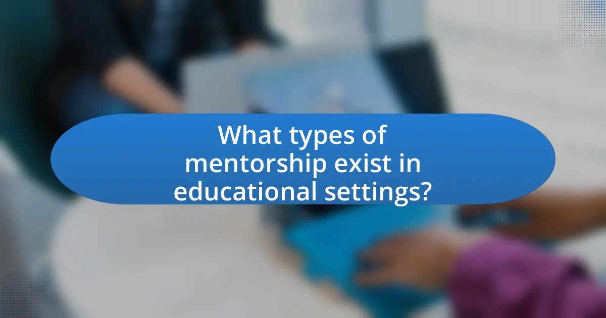 What types of mentorship exist in educational settings?